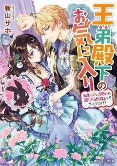 王弟殿下のお気に入り 転生しても天敵から逃げられないようです！？